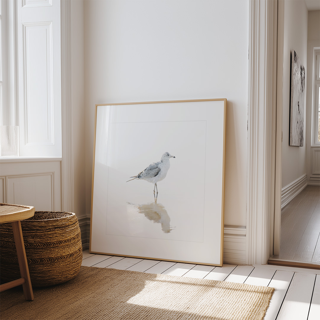 Seagull No 12 - Fine art print by Cattie Coyle Photography. © 2017, all rights reserved.