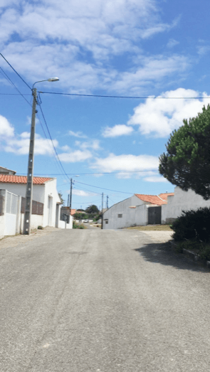 Driving to Magoito 2 by Cattie Coyle Photography