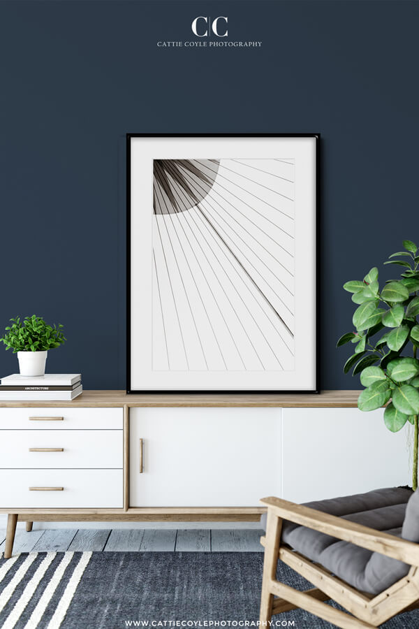 Sail No 13 by Cattie Coyle Photography. © 2018, all rights reserved.