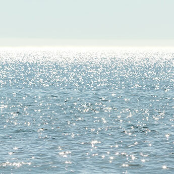 Sun Glitter by Cattie Coyle Photography