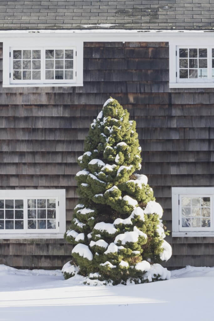 A slomad winter: After the January blizzard in Annisquam, MA by Cattie Coyle Photography. © 2018, all rights reserved.