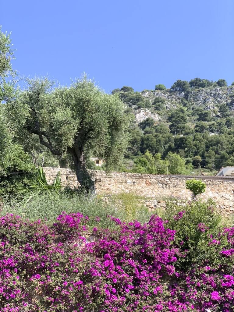 Scenery, Beaulieu-sur-Mer, France, by Cattie Coyle Photography. © 2019, all rights reserved.