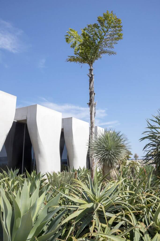Jean Cocteau Museum-Séverin Wunderman Collection, Menton, France by Cattie Coyle Photography. © 2019, all rights reserved.