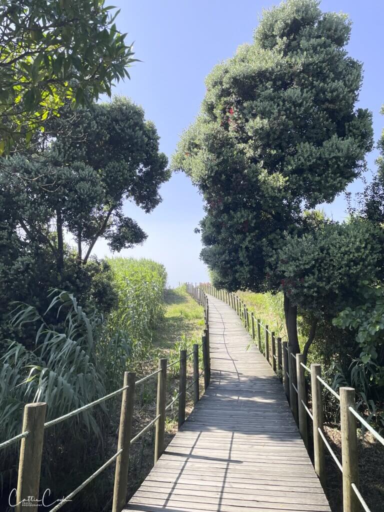 Walking in Portugal: Boardwalk between Espinho and Praia da Aguda by Cattie Coyle Photography. © 2024, all rights reserved.