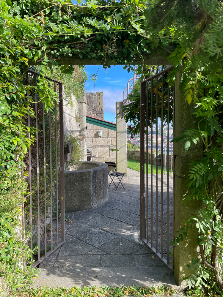 AirBnB garden in Porto, Portugal by Cattie Coyle Photography. © 2024, all rights reserved.