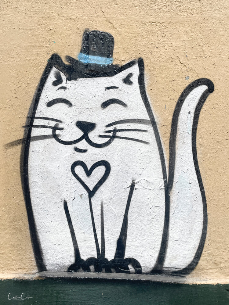 Graffiti, Porto, Portugal by Cattie Coyle Photography. © 2024, all rights reserved.