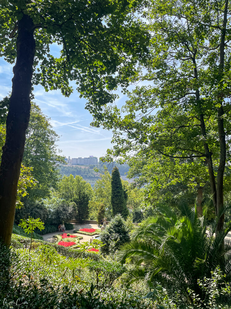 Jardins do Palácio de Cristal, Porto, Portugal by Cattie Coyle Photography. © 2024, all rights reserved.