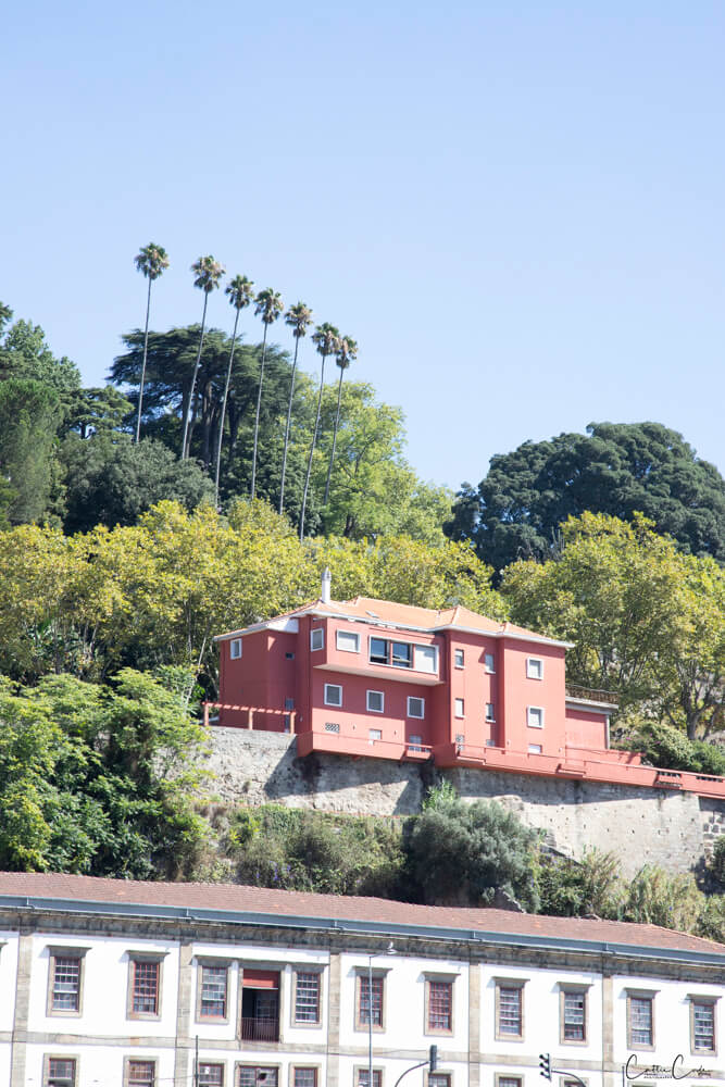 Porto, Portugal by Cattie Coyle Photography. © 2024, all rights reserved.