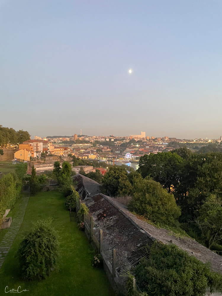 Porto, Portugal by Cattie Coyle Photography. © 2024, all rights reserved.